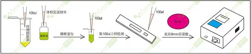 檢測(cè)操作過程