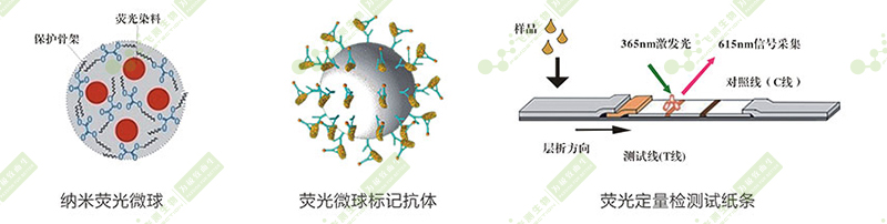 黃曲霉毒素B1熒光定量快速檢測系統(tǒng)