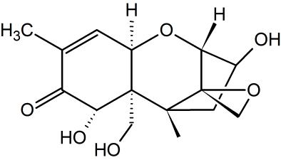 嘔吐毒素