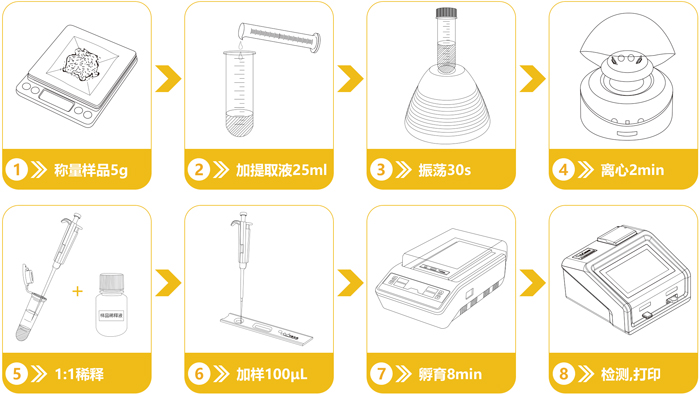 轉(zhuǎn)基因Bt Cry1Ab/Ac檢測卡操作流程